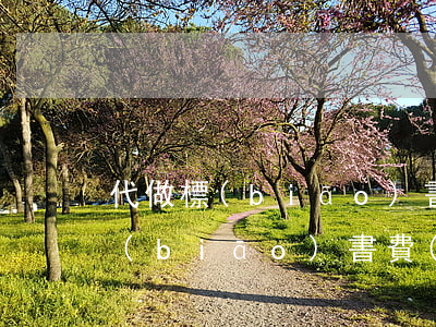 代做標(biāo)書一般多少錢(代理做標(biāo)書費(fèi)用多少)