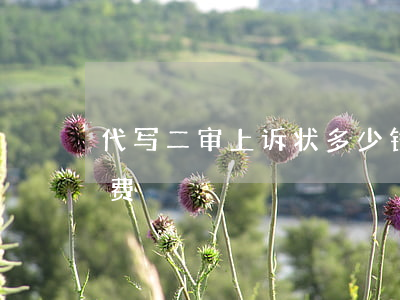 代写二审上诉状多少钱(写二审上诉状怎么收费)
