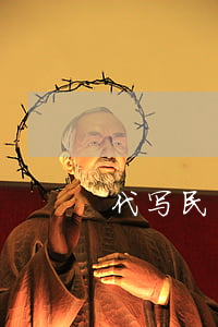 代写民事诉讼书多少钱(代写诉讼书要多少钱)
