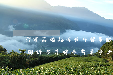 代写离婚起诉书并律事需要多少钱(代写离婚起诉书并律事需要多少钱)