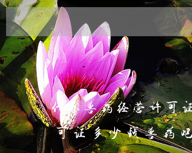 代办兽药经营许可证多少钱(代办兽药经营许可证多少钱兽药吧)