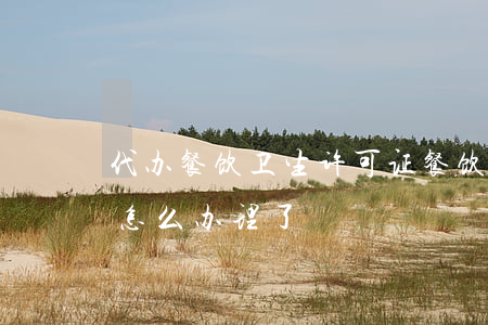 代办餐饮卫生许可证(餐饮行业的卫生许可证怎么办理了)