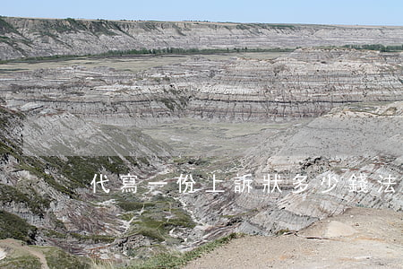 代寫一份上訴狀多少錢(法院代寫訴狀嗎)