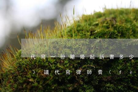 代寫一份離婚起訴書多少錢(離婚協(xié)議代寫律師費(fèi)多少錢)