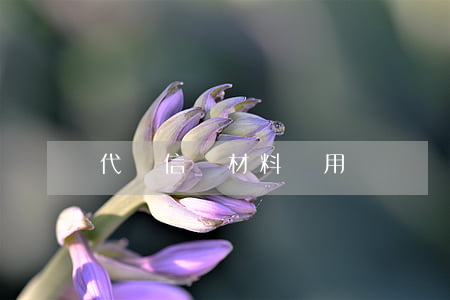 代寫信訪材料費用