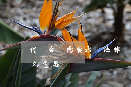 代寫文書需要承擔法律責任嗎(法律代書是什么意思)