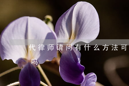代律师请问有什么方法可以破解吗(破解犯法吗)