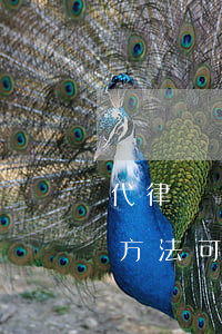 代律師請(qǐng)問(wèn)有什么方法可以破解嗎(破解犯法嗎)