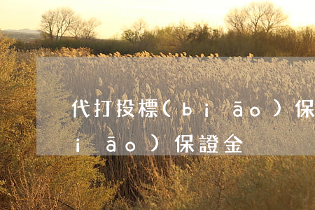 代打投標(biāo)保證金(代打投標(biāo)保證金)