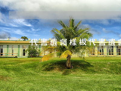 代書遺囑樣板(代書遺囑怎么寫才有效模板)