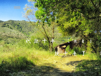 代款十年沒(méi)還逾期被起訴箅壞帳嗎-貸款十年了沒(méi)還起訴了怎么辦