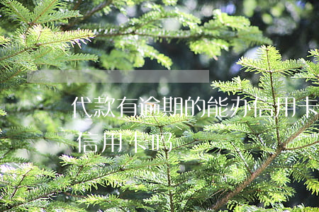 代款有逾期的能办信用卡吗(逾期还了可以办信用卡吗)