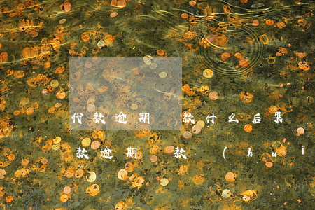 代款逾期還款什么后果(請(qǐng)問貸款逾期還款會(huì)是怎么樣的后果)