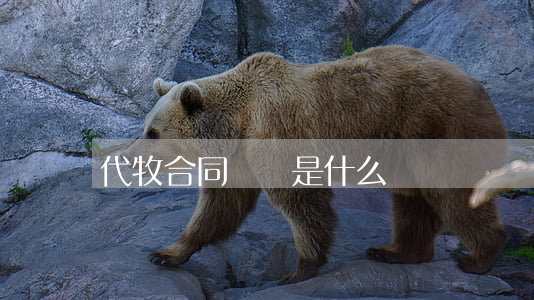 代牧合同糾紛是什么
