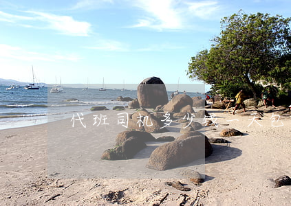 代班司机多少钱一天(包月代驾司机怎么收费)