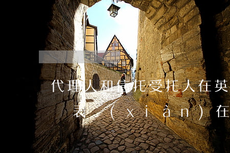 代理人和信托受托人在英美法的區(qū)別表現(xiàn)在哪里