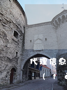 代理信息掛賬怎么收費(fèi)(記賬代理費(fèi)算什么費(fèi)用)