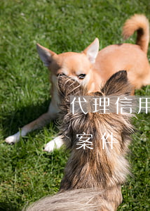代理信用卡逾期案件(公安局受理信用卡逾期案件嗎)