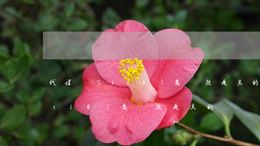 代理協(xié)商還款是真的嗎(代理協(xié)商還款是真的嗎)