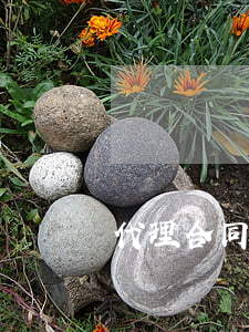 代理合同模板(销售代理合同模板) 代理合同模板(销售代理合同模板)