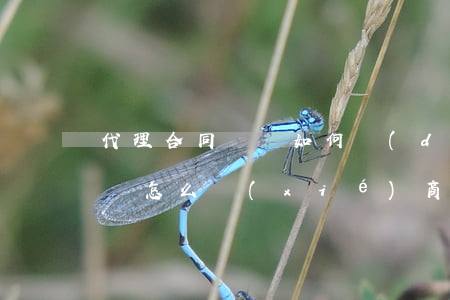 代理合同糾紛如何調(diào)解(合同糾紛怎么協(xié)商處理)