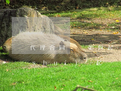 代理合同糾紛如何起訴(與代理人簽合同誰(shuí)該起訴)