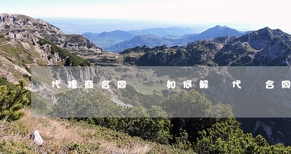 代理商合同糾紛如何解決(代銷合同糾紛)