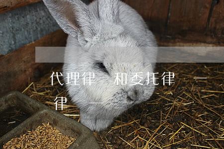 代理律師和委托律師一樣嗎(代理律師和委托律師一樣嗎)