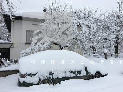 代理律師怎么收費(委托代理律師怎么收費)