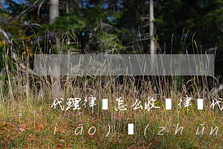 代理律師怎么收費(律師代理費的收費標(biāo)準(zhǔn))