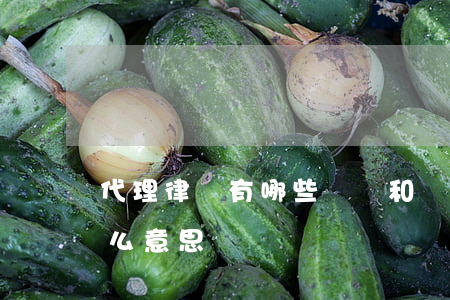 代理律師有哪些職責和義務(律師代理人是什么意思)