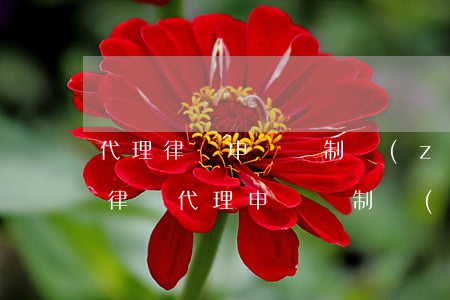 代理律師申請強制執(zhí)行要收費嗎(律師代理申請強制執(zhí)行費用)
