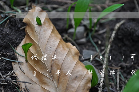 代理律師費(fèi)可以退還當(dāng)事人嗎(解除律師代理合同 退律師費(fèi))