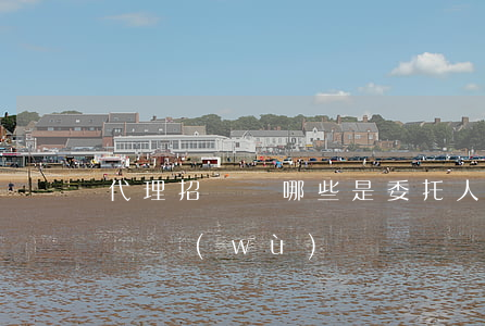 代理招標時哪些是委托人的責(zé)任和義務(wù)