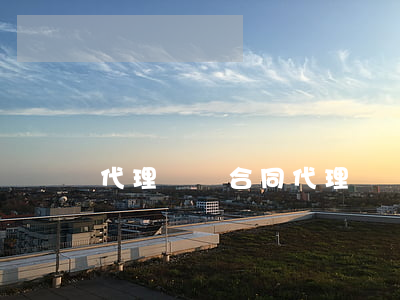 代理記帳合同(代理記帳合同文本)