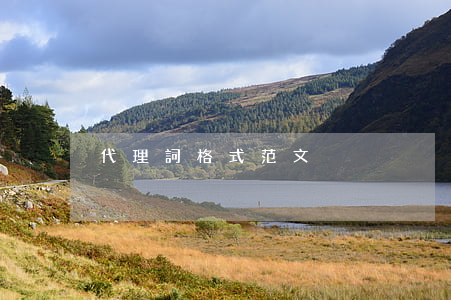 代理詞格式范文