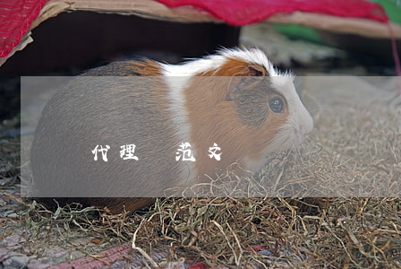 代理詞范文