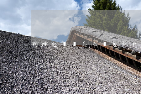代理起訴狀怎么寫(委托代理起訴書怎么寫)