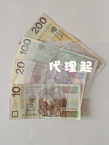 代理起訴費用大概要多少