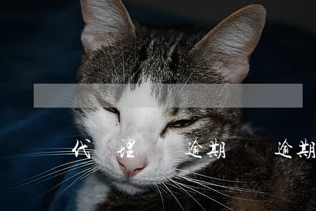 代處理網貸逾期(網貸逾期代償有什么后果)