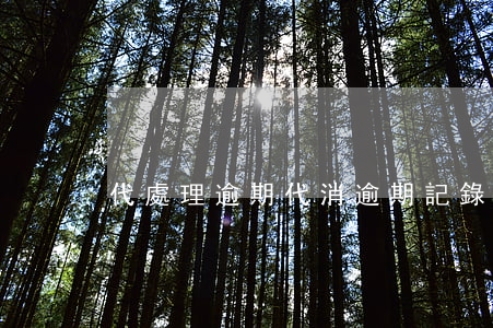 代處理逾期(代消逾期記錄)