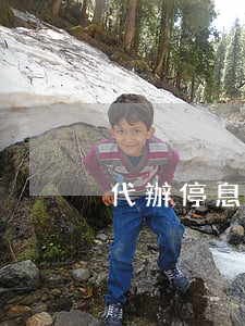 代辦停息掛賬-代辦停息掛賬合法嗎