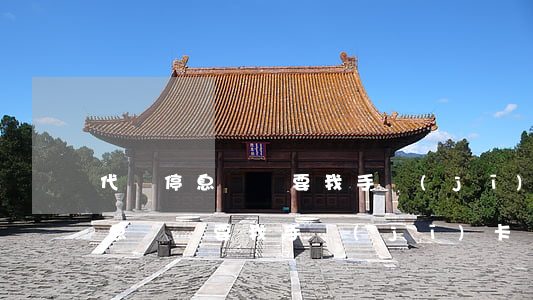 代辦停息掛賬要我手機(jī)卡-代辦停息掛賬要我手機(jī)卡嗎?