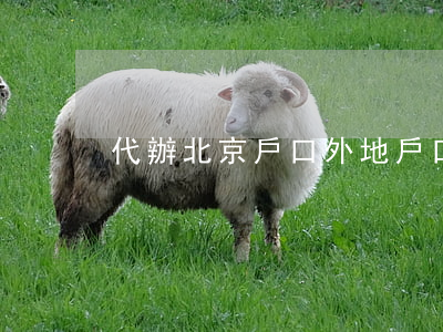 代辦北京戶口(外地戶口如何辦理北京戶口)