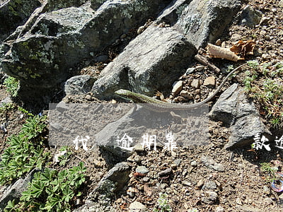 代辦逾期靠譜嗎 貸款逾期了怎么辦
