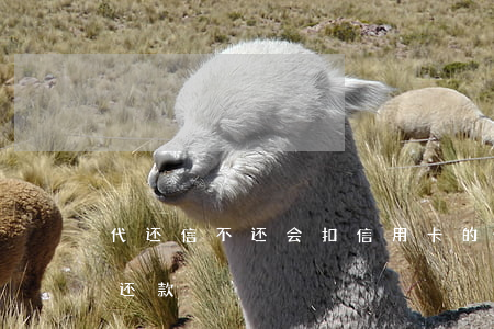 代还信不还会扣信用卡的钱(为什么信用卡要还款)