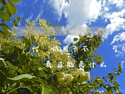 代還信用卡不還錢可以起訴(代信用卡還不了錢最后能是什么結(jié)果)
