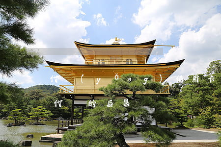 代養(yǎng)信用卡逾期不還款(信用卡代還的后果)