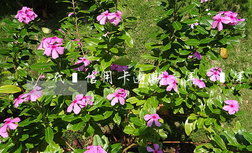 代駕信用卡逾期一年-過年長途代駕