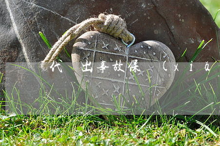 代駕出事故保險(xiǎn)公司賠嗎